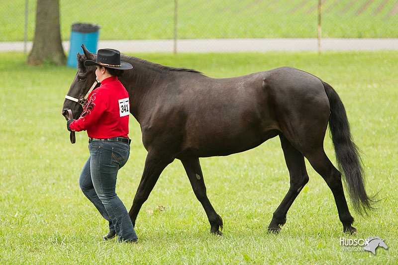 4H-1st-Show-11_0826.jpg