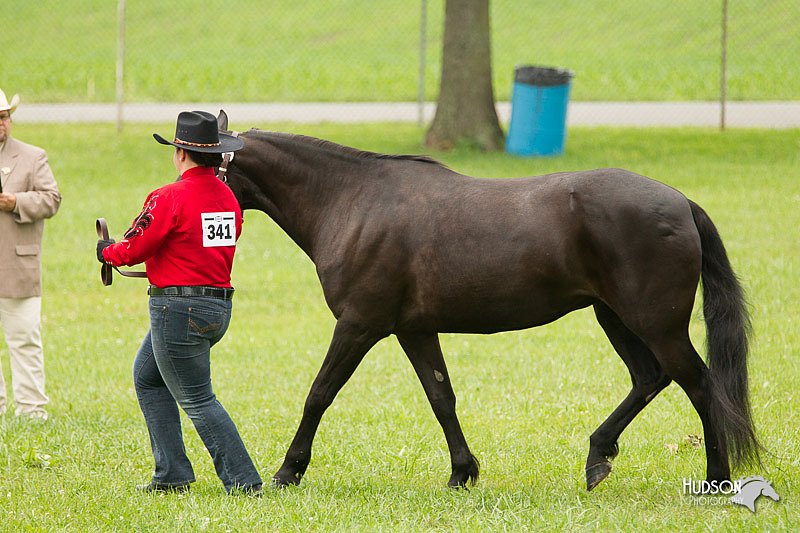 4H-1st-Show-11_0827.jpg