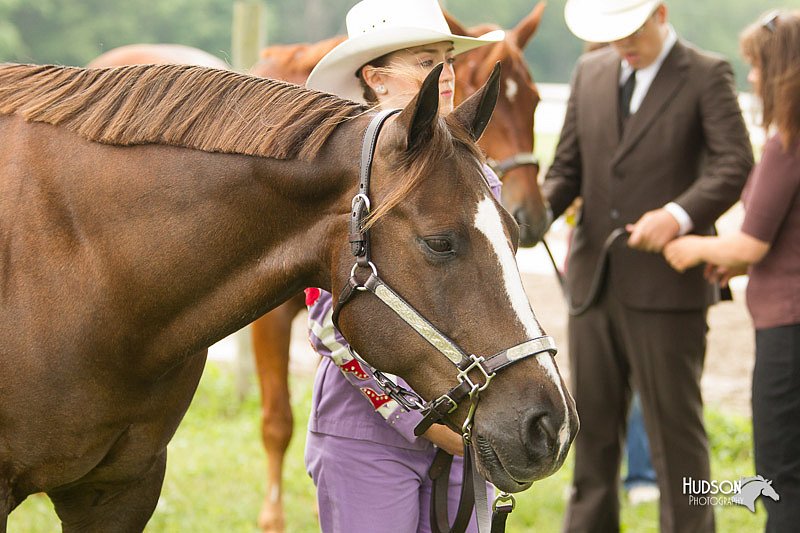 4H-1st-Show-11_0828.jpg