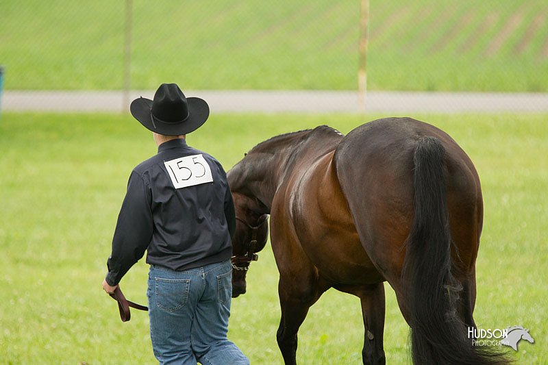 4H-1st-Show-11_0874.jpg