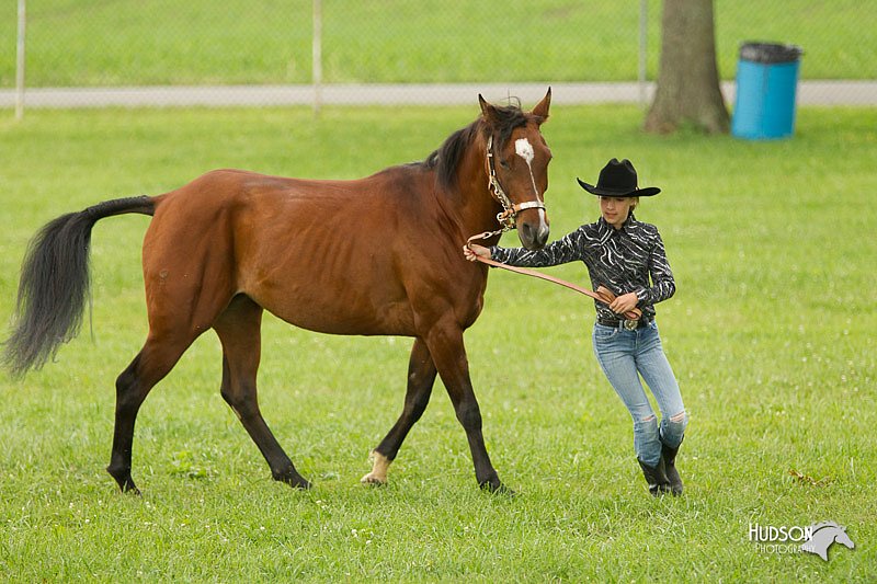 4H-1st-Show-11_0926.jpg