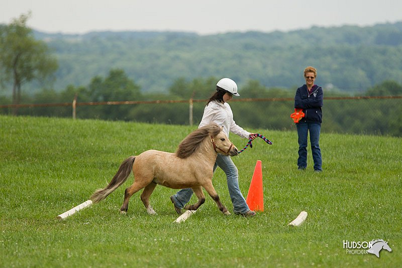 4H-1st-Show-11_1608.jpg