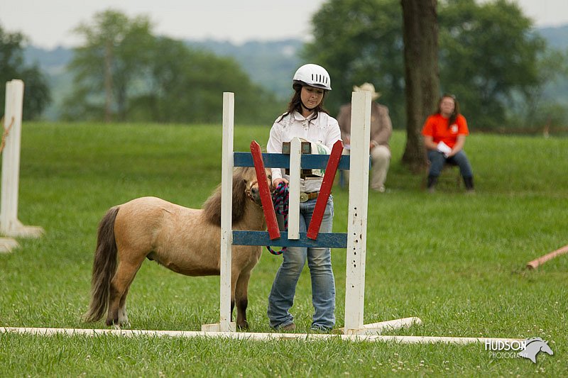 4H-1st-Show-11_1612.jpg
