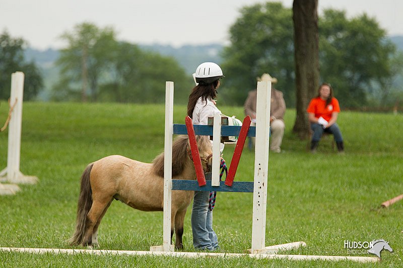 4H-1st-Show-11_1613.jpg