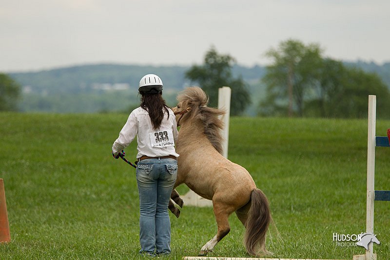 4H-1st-Show-11_1615.jpg