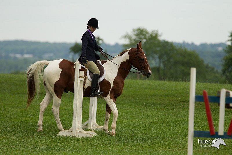 4H-1st-Show-11_1621.jpg
