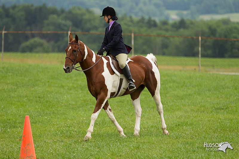 4H-1st-Show-11_1624.jpg