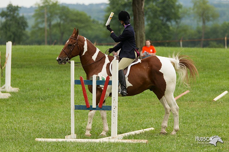4H-1st-Show-11_1628.jpg