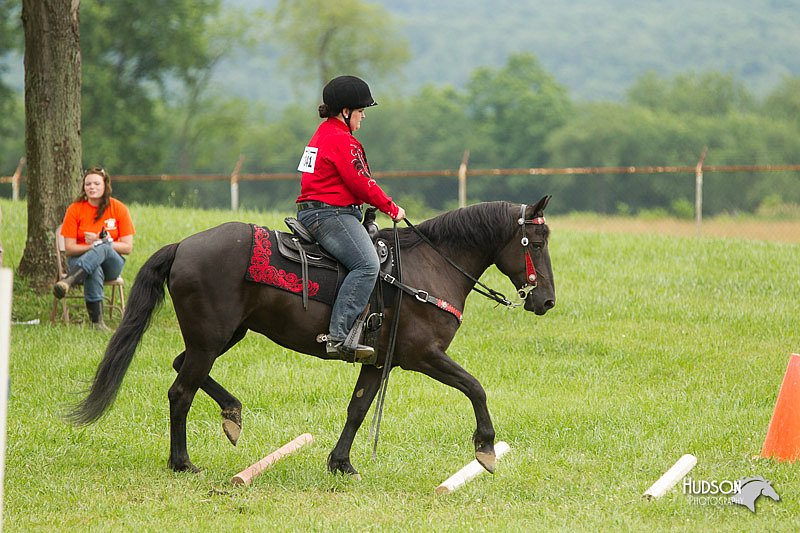 4H-1st-Show-11_1629.jpg