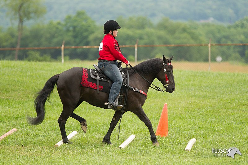 4H-1st-Show-11_1630.jpg