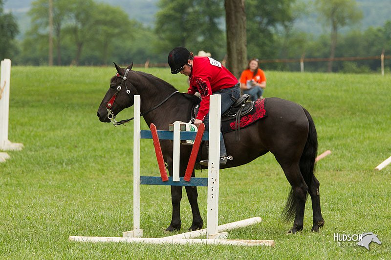4H-1st-Show-11_1636.jpg