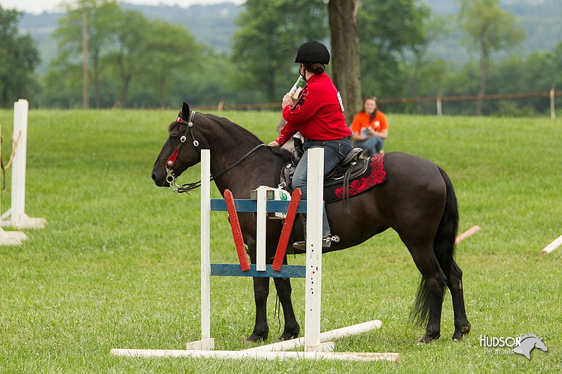 4H-1st-Show-11_1637.jpg