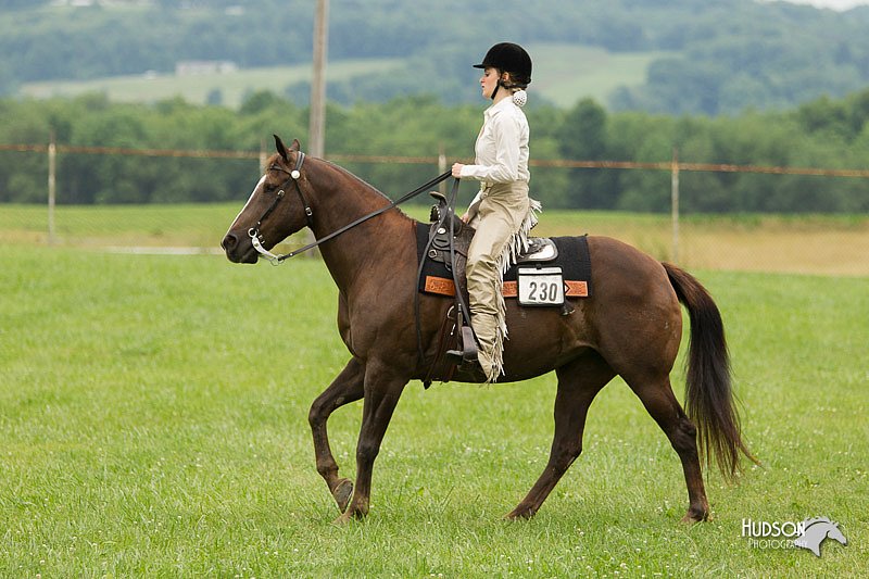 4H-1st-Show-11_1646.jpg