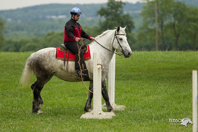4H-1st-Show-11_1649.jpg