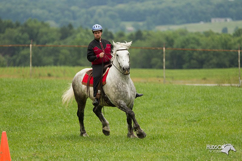 4H-1st-Show-11_1651.jpg