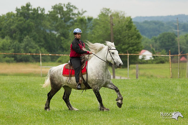 4H-1st-Show-11_1652.jpg