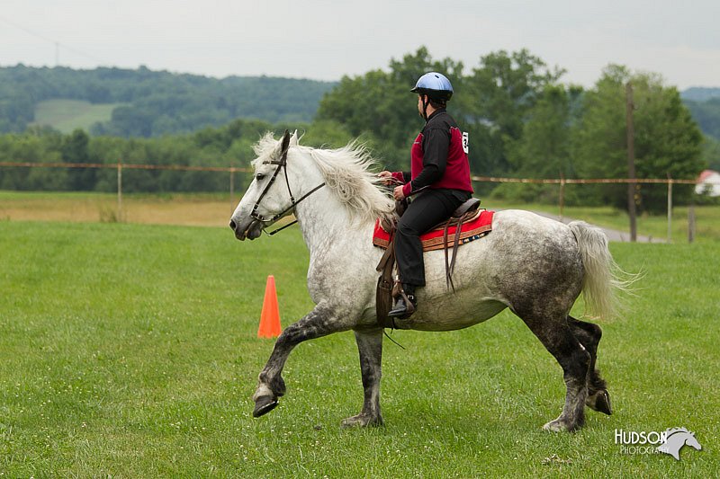 4H-1st-Show-11_1653.jpg