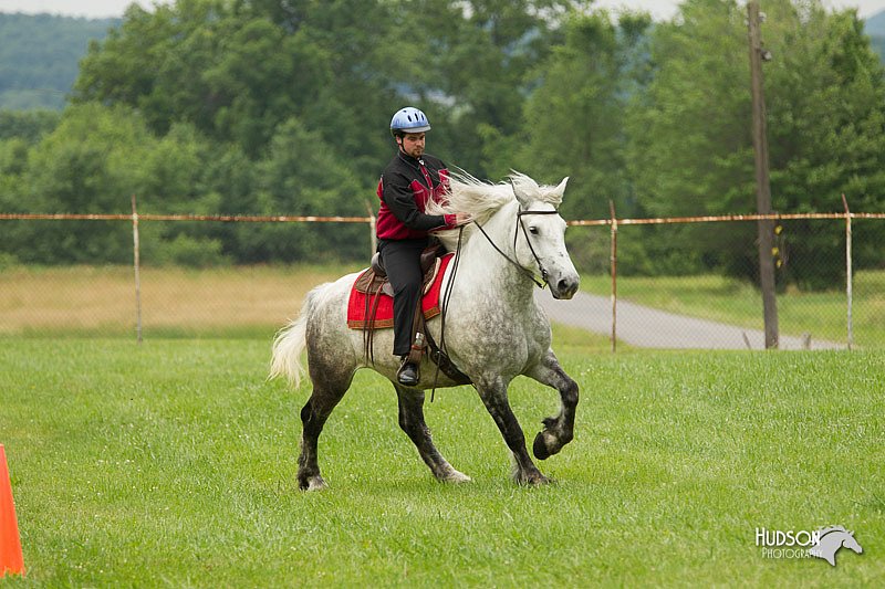 4H-1st-Show-11_1654.jpg
