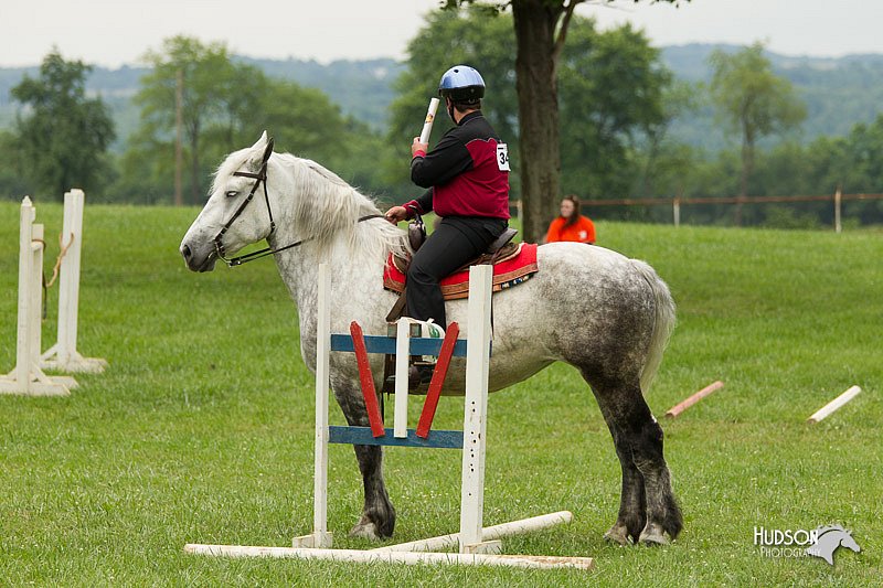 4H-1st-Show-11_1656.jpg