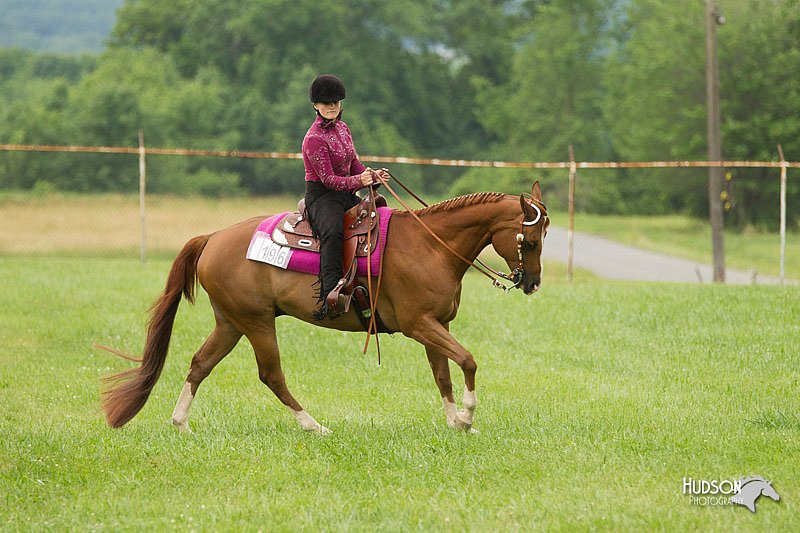 4H-1st-Show-11_1668.jpg