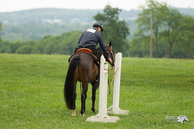 4H-1st-Show-11_1672.jpg