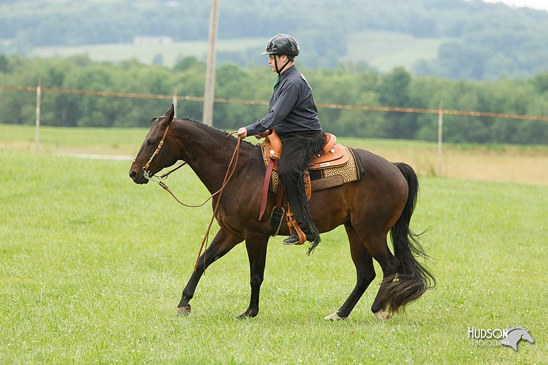 4H-1st-Show-11_1679.jpg
