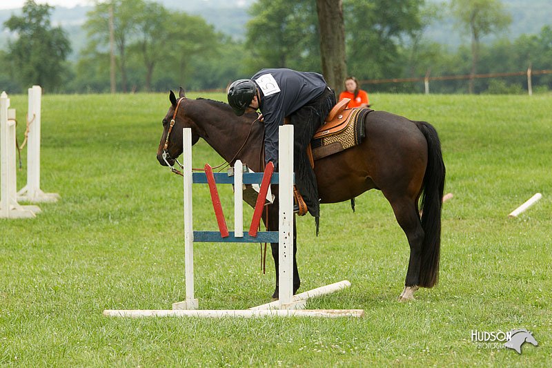 4H-1st-Show-11_1680.jpg
