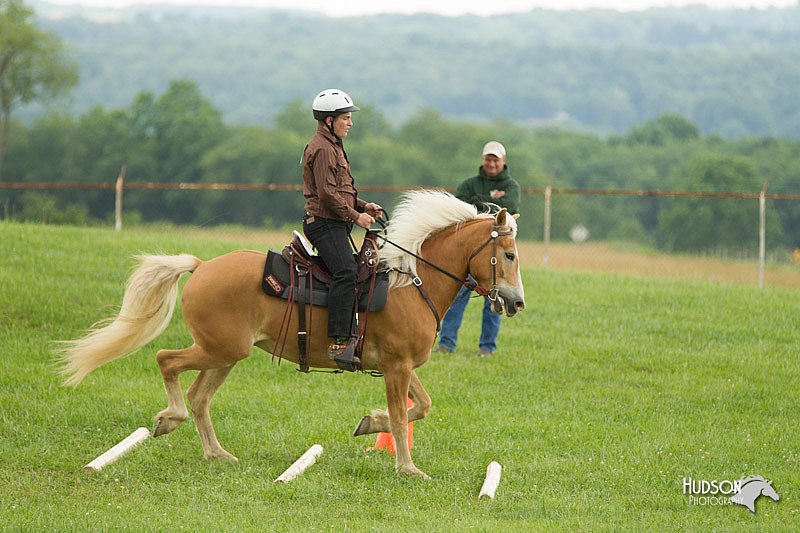 4H-1st-Show-11_1683.jpg