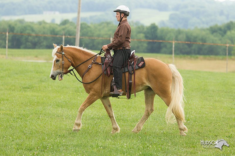 4H-1st-Show-11_1687.jpg