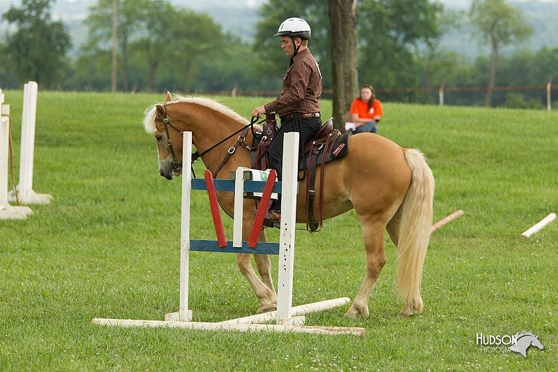 4H-1st-Show-11_1688.jpg