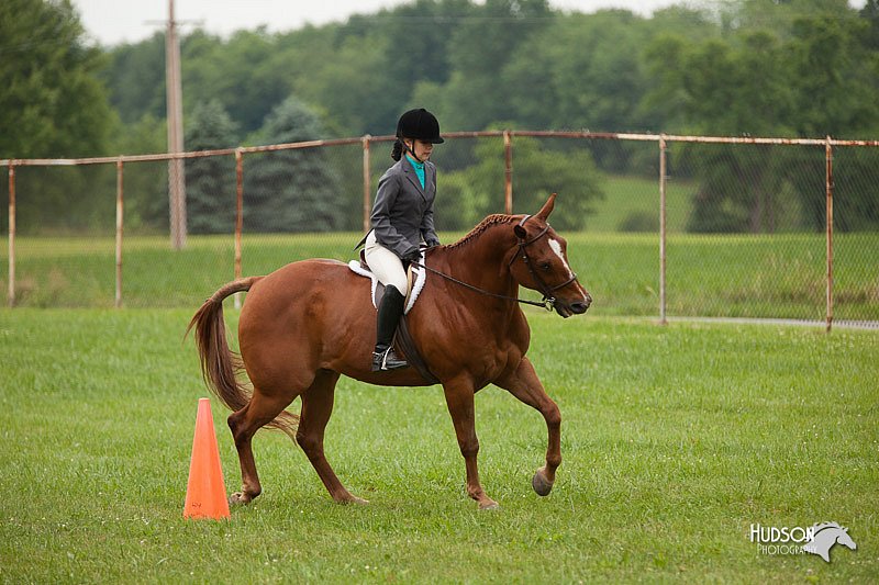4H-1st-Show-11_1726.jpg