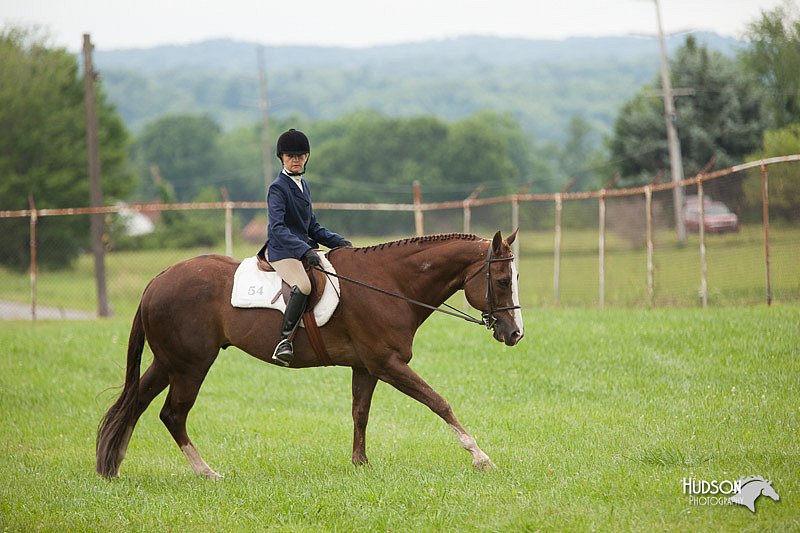 4H-1st-Show-11_1734.jpg