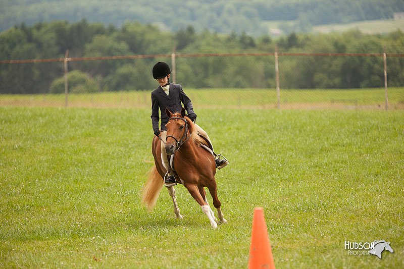 4H-1st-Show-11_1808.jpg