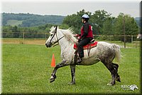 4H-1st-Show-11_1653.jpg
