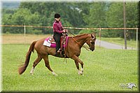 4H-1st-Show-11_1668.jpg