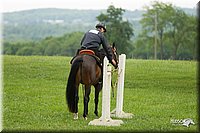 4H-1st-Show-11_1672.jpg