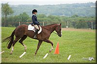4H-1st-Show-11_1732.jpg