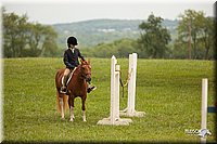 4H-1st-Show-11_1803.jpg