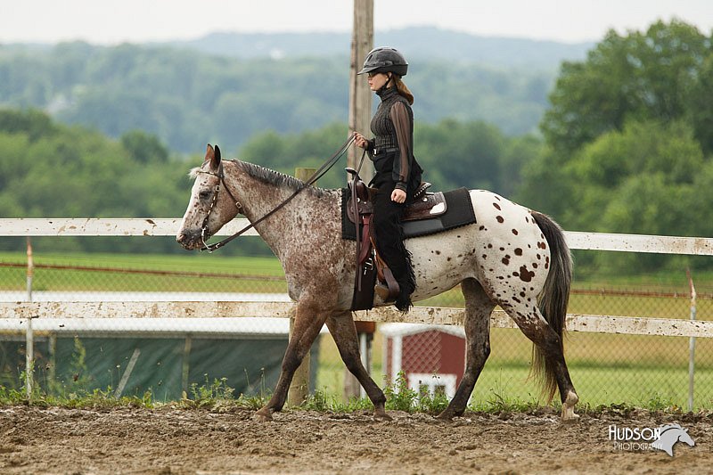 4H-1st-Show-11_1104.jpg