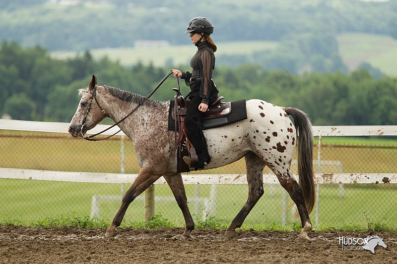 4H-1st-Show-11_1105.jpg