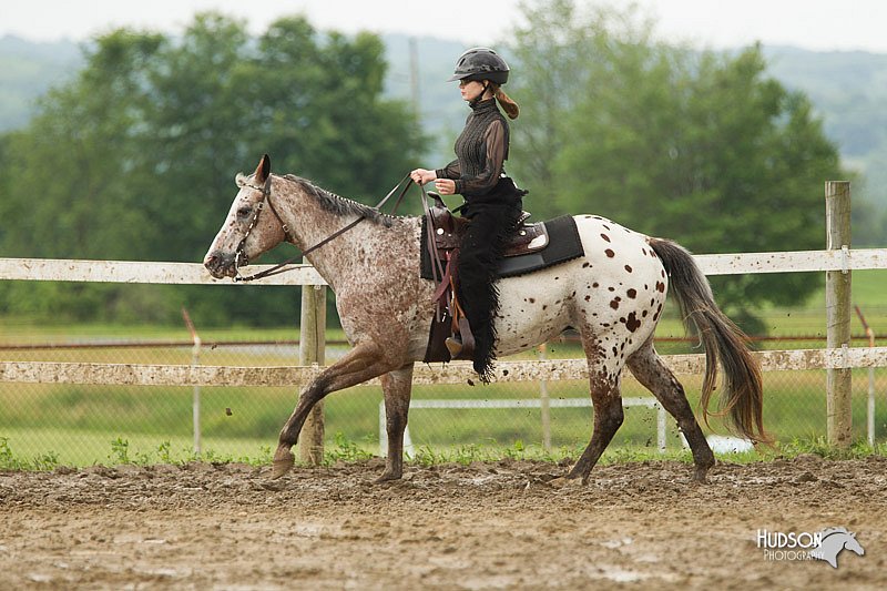 4H-1st-Show-11_1110.jpg