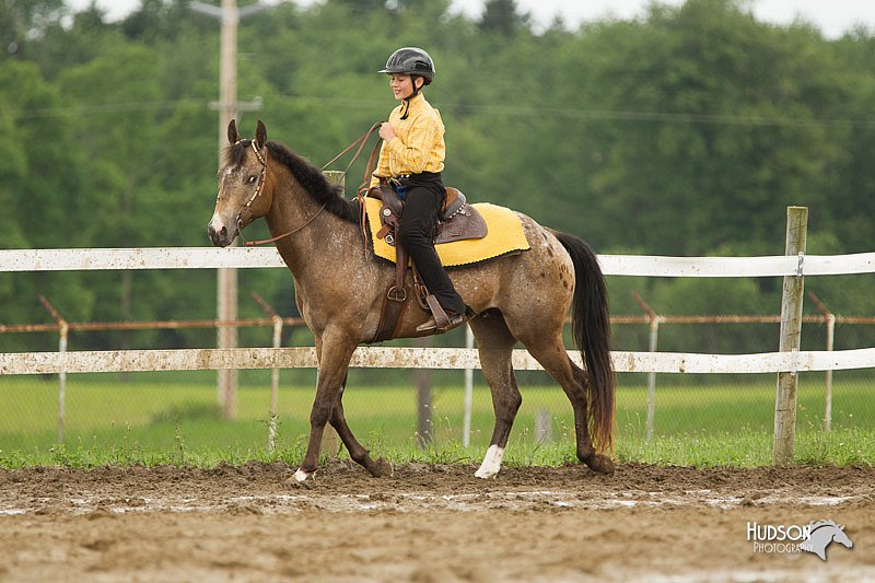 4H-1st-Show-11_1402.jpg