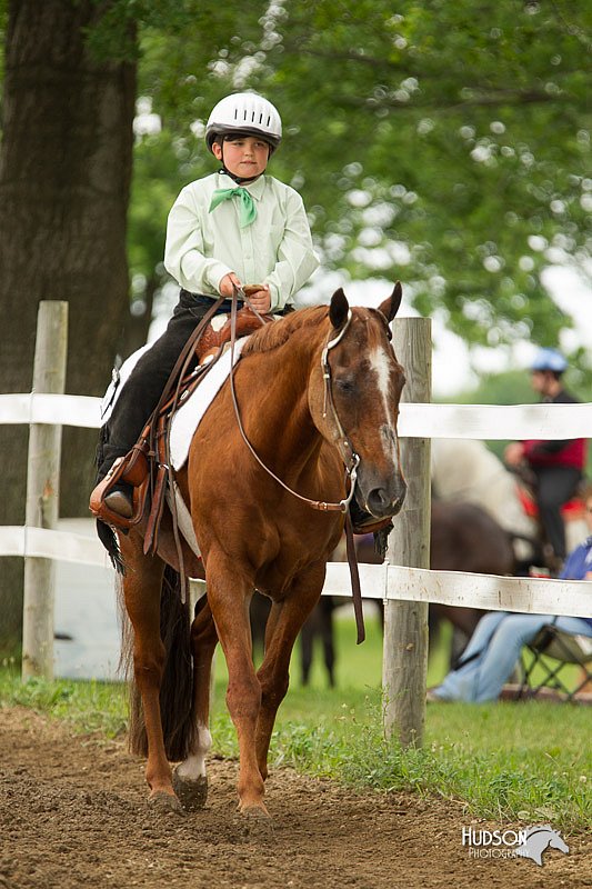 4H-1st-Show-11_1416.jpg