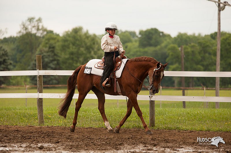 4H-1st-Show-11_1894.jpg