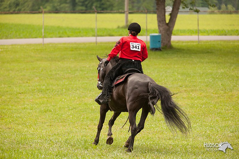 4H-1st-Show-11_1980.jpg