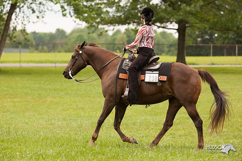 4H-1st-Show-11_1985.jpg