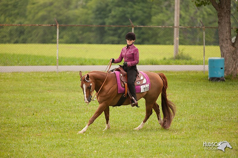 4H-1st-Show-11_1995.jpg