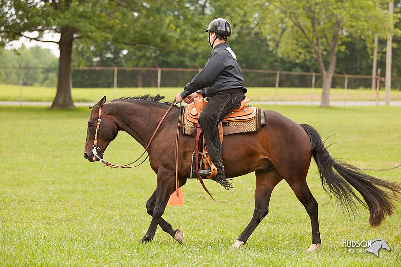 4H-1st-Show-11_2002.jpg