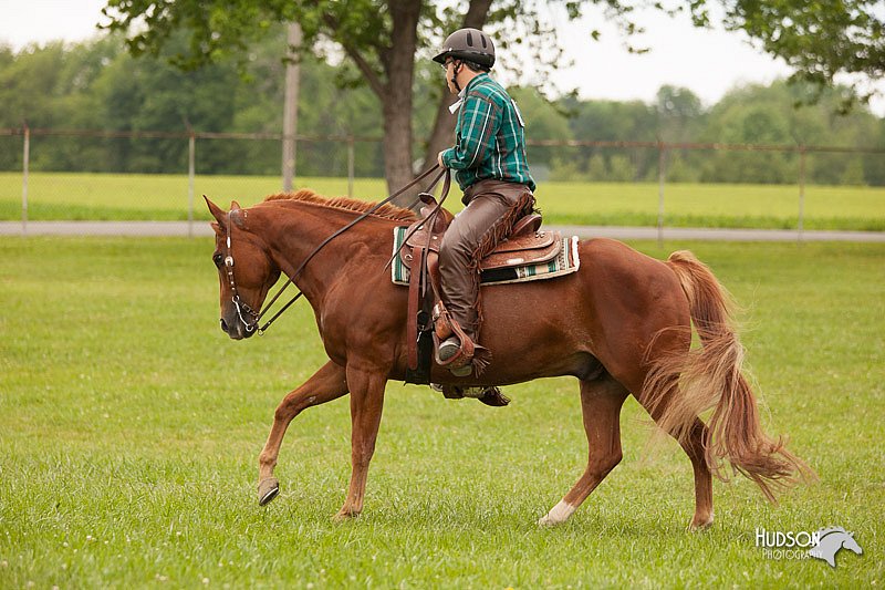 4H-1st-Show-11_2007.jpg