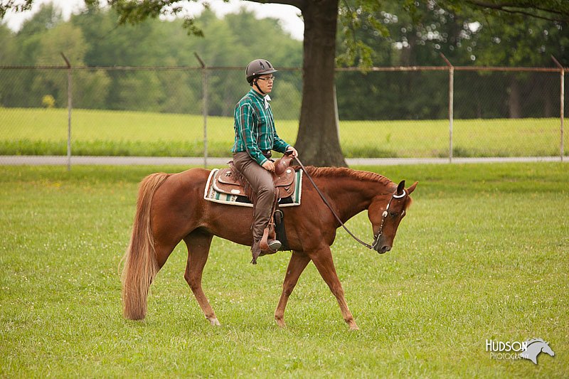 4H-1st-Show-11_2011.jpg